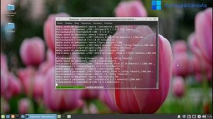 Установка KDE Plasma - linux mint под ножом оптимизатора