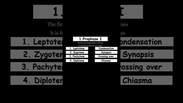 Stages of Prophase I Meiosis I Watch on YouTube Learn Medical Health Sciences Dr. Shaista 