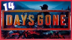 Правильное воссоединение | Days Gone #14