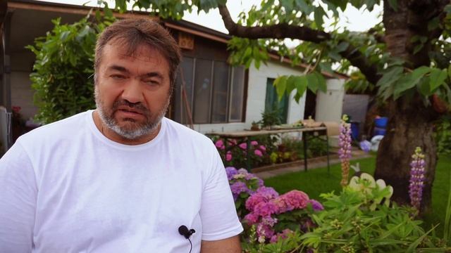 Живая почва и продукты метаболизма бактерий. смотреть онлайн