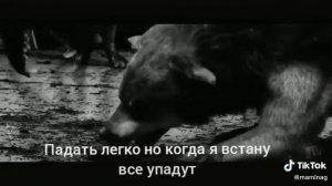 Волк одиночка