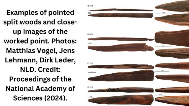 Ancient Humans Crafted Deadly Wooden Weapons 300,000 Years Ago смотреть онлайн