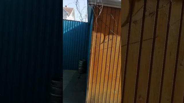 Жильё в центре Анапы