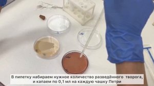 АНАЛИЗ ПИЩЕВЫХ ПРОДУКТОВ: САНИТАРНО-МИКРОБИОЛОГИЧЕСКИЕ ИССЛЕДОВАНИЯ