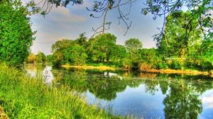 ВОССТАНОВЛЕНИЕ НЕРВНОЙ СИСТЕМЫ 🌿 САМАЯ КРАСИВАЯ МУЗЫКА @MobyLife  @vinnitsaburgas