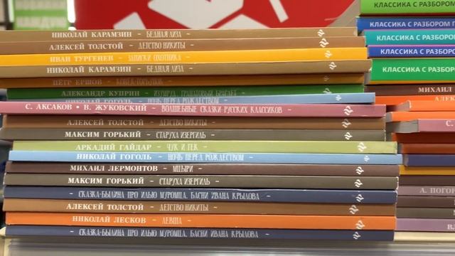 Мара Вульф и Ники Сью в fixpriceКнижная охота летаFixprice Familia Читай город