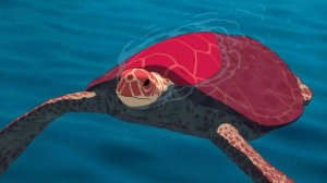 Красная черепаха - The Red Turtle La tortue rouge