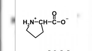 Structure of 20 amino acids,#microbiology