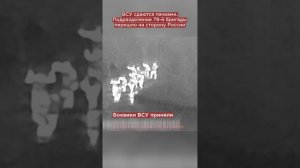 ВСУ сдаются пачками. Подразделение 79-й бригады перешло на сторону России