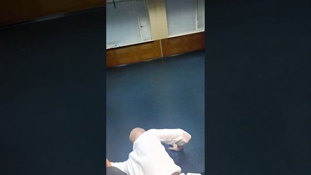 Sinten-ryu aikijutsu - kotegaeschi, 26 октября 2023 г. Начальный уровень - зелёный пояс.