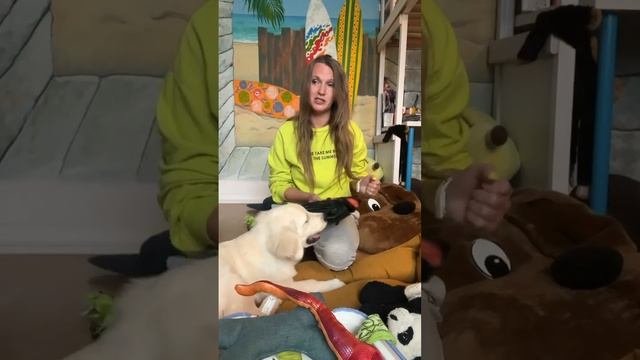 Выпускники (отзывы) нашего питомника #2