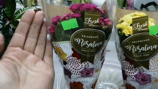 Цветочное настроение в Мире цветов!