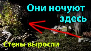 Они переночевали в доме, который стоял несколько лет! Стены птичника выросли!