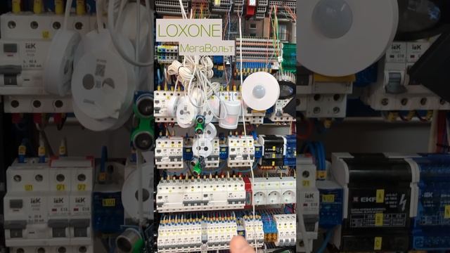 Включаем подсветку лестницы по датчику расстояния #smarthome #умныйдом #loxone #сборкащитов