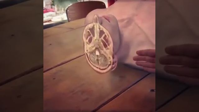 Изучение анатомии в будущем.