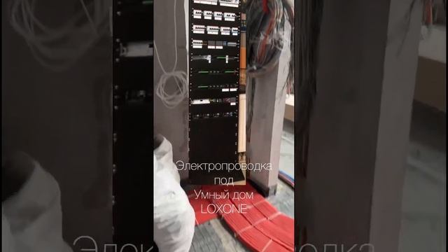 Электропроводка под умный дом #умныйдом #loxone #сборкащитов #жксобытие #smarthome #электрощит