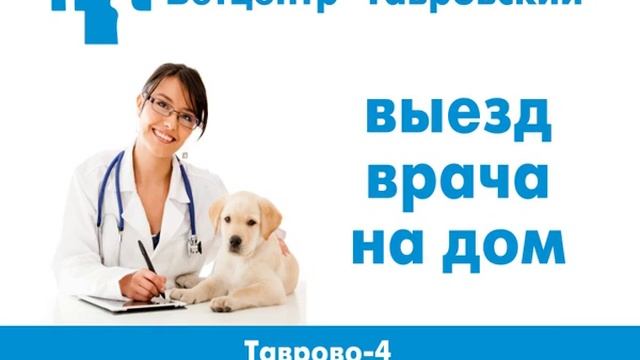 Семейный врач. Ветцентр таврово 4. Ветеринарный центр. Ветеринарный центр друг. Ветцентр таврово 4.