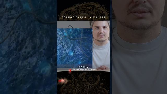 Микроскопическое путешествие: тайны живой клетки