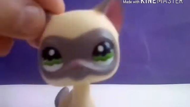 Просто видео! Тупенького человека смотреть онлайн