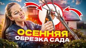 Как правильно подрезать деревья?