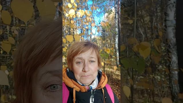 Что такое ЭКОМИР? смотреть онлайн