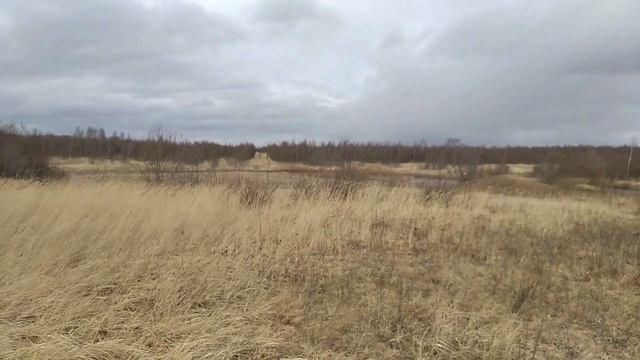 Коп не КоП так прогулка у реки,сломал машинку смотреть онлайн