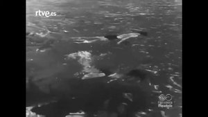 vintage diving malllorca 1944