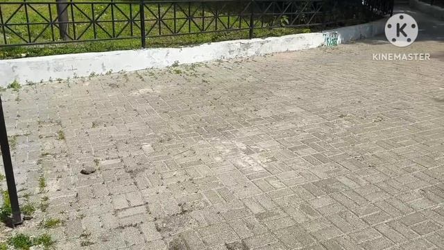 Марина Пиза.Просмотры упали,Раньше козявки в экран совала,может теперь перестанет отчитывать зрител смотреть онлайн