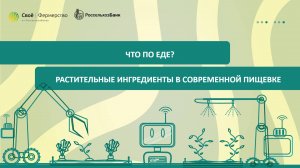 Что по еде? Растительные ингредиенты в современной пищевке