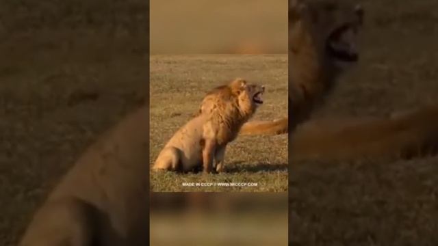 24 juillet 2024