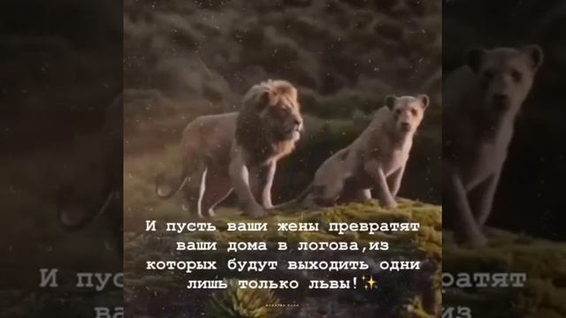 Исламские цитаты🌿