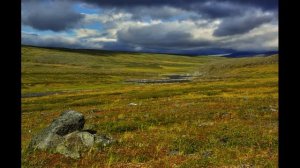 Komi song Зарни Ань-Кöр лэбöм (Полёт оленя)