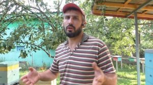 Смотрим как работают полоски от клеща 28.07.2019