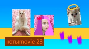 Котыmovie 23