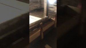 Стойло для Бычков