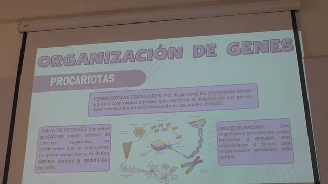 SEMINARIO II   TRANSCRIPCIÓN DEL MATERIAL GENEETICO PT2