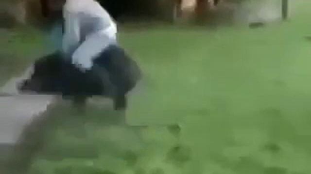 бринбамбамбом