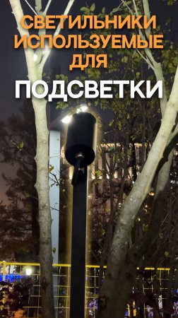 светильники используемые для подсветки