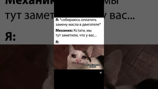 Замена масла как наказание👿