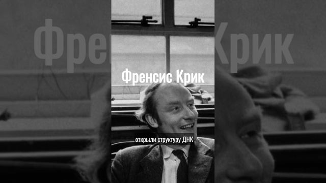 🧬 Молекула ДНК или свидетельство Бога. Происхождение жизни, версия философа С.Майерс #магиинет