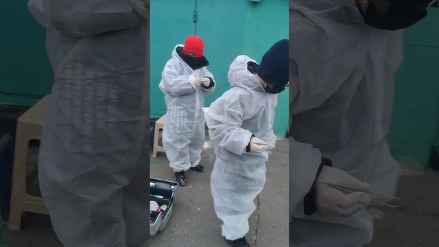 Мастерята. Правоохранительная деятельность (Полицейский)
