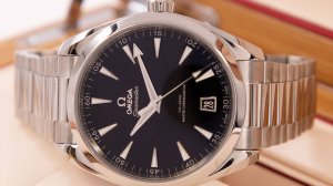 Omega Seamaster Aqua Terra 150M Co-Axial Master Chronometer 41 mm 220.10.41.21.01.002