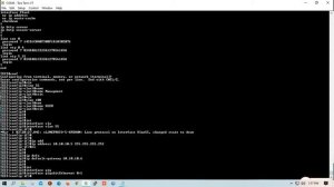 CISCO Manageable Catalyst2960. Basic Configuration