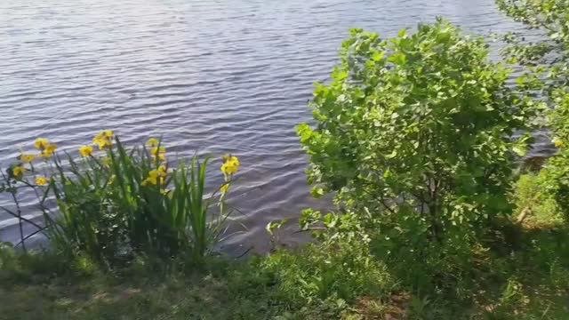 Это оказалось совсем другое озеро. Пешком в Введенскую Островную пустынь.часть 2-я.