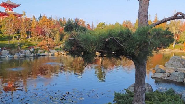 Японский сад Краснодар, осень прогулка 2ч