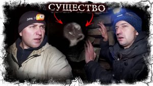 Мохнатый колобок. Существо из Места Силы. Возвращение Паши?