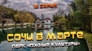 #СОЧИ 2022🌊#ВЛОГ: Парк "ЮЖНЫЕ КУЛЬТУРЫ" в Адлере не хуже ДЕНДРАРИЯ🌳Ещё и САМОЛЕТЫ посмотрите🛬/#12