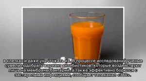 Ученые в США создали антибиотик для борьбы с «супермикробами»