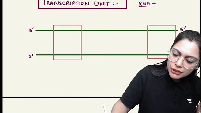 Replication and Transcription | Molecular Basis of Inheritance | Class 12 | NEET 2023 | Garima Goel