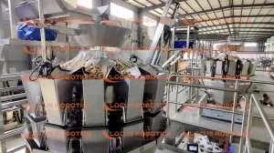 Линия фасовки сухофруктов и орехов в металлические банки LP-100 с мультиголовочным дозатором